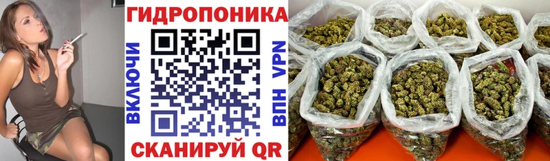 Бошки марихуана White Widow  kraken ССЫЛКА  Дивногорск 